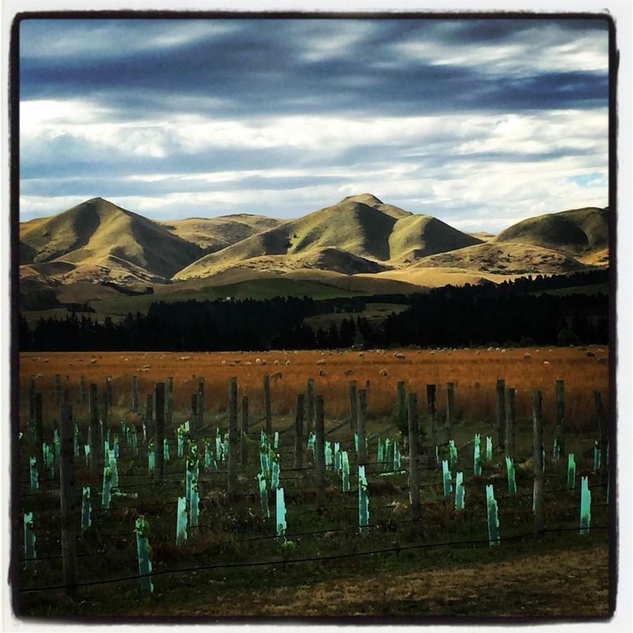 Romantic Vineyard Getaway Waipara Exterior foto