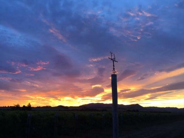 Romantic Vineyard Getaway Waipara Exterior foto